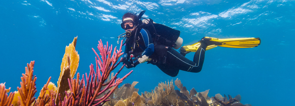 Open Water Certification - Learn to dive with the best!