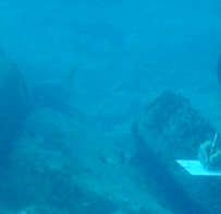 Underwater Archeologist